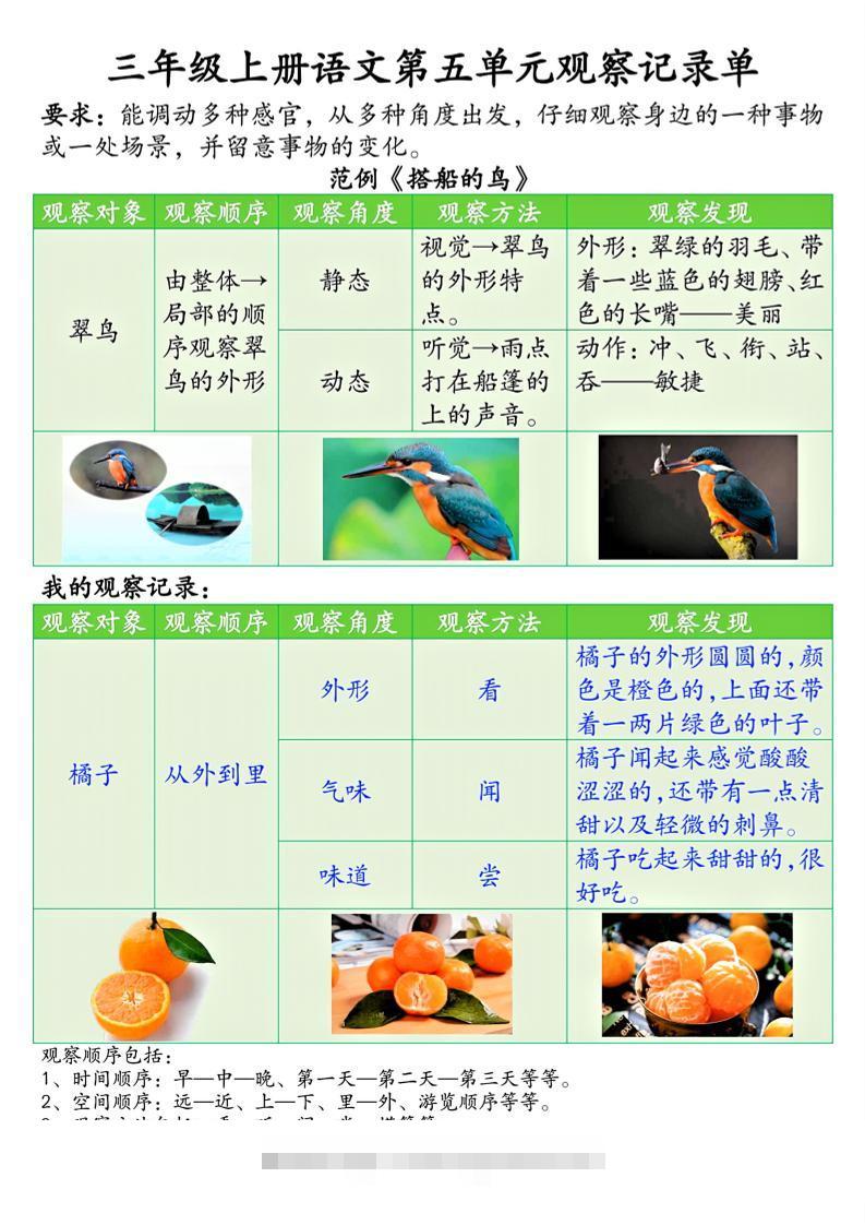三上语文第五单元观察记录单（空白+答案14页）-舰云站点