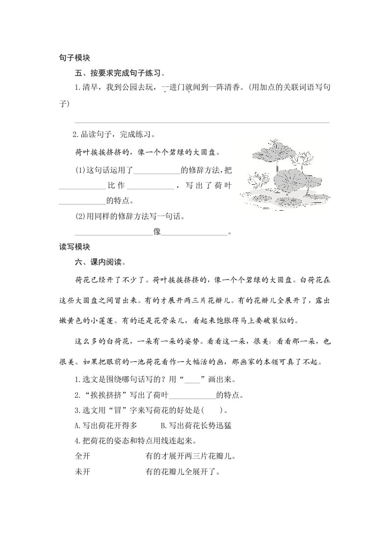 图片[2]-三年级语文下册3荷花-小哥网