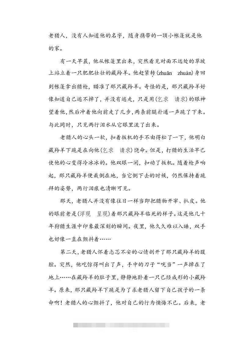 图片[3]-五年级语文下册近义词、反义词（部编版）-小哥网