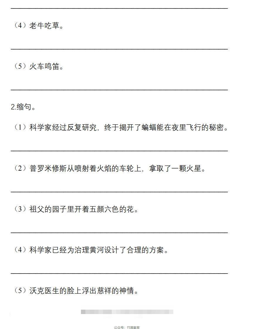 图片[3]-5年级句子专项练习-小哥网