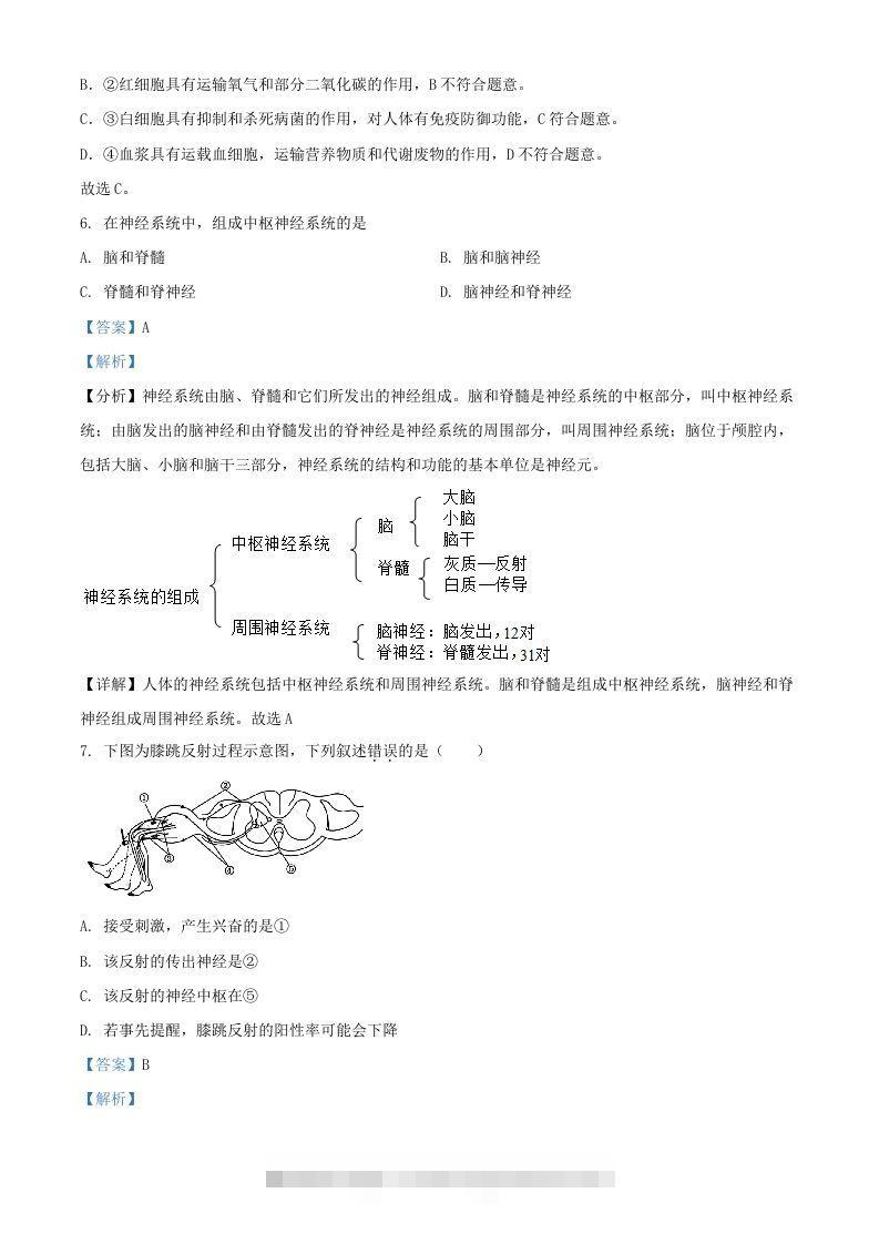 图片[3]-2024年上海中考生物试题及答案(Word版)-资源V站
