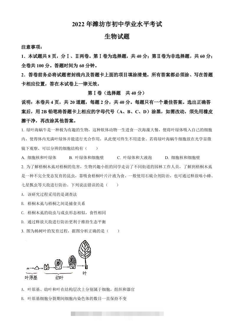 2022年山东省潍坊市中考生物真题（空白卷）-小哥网