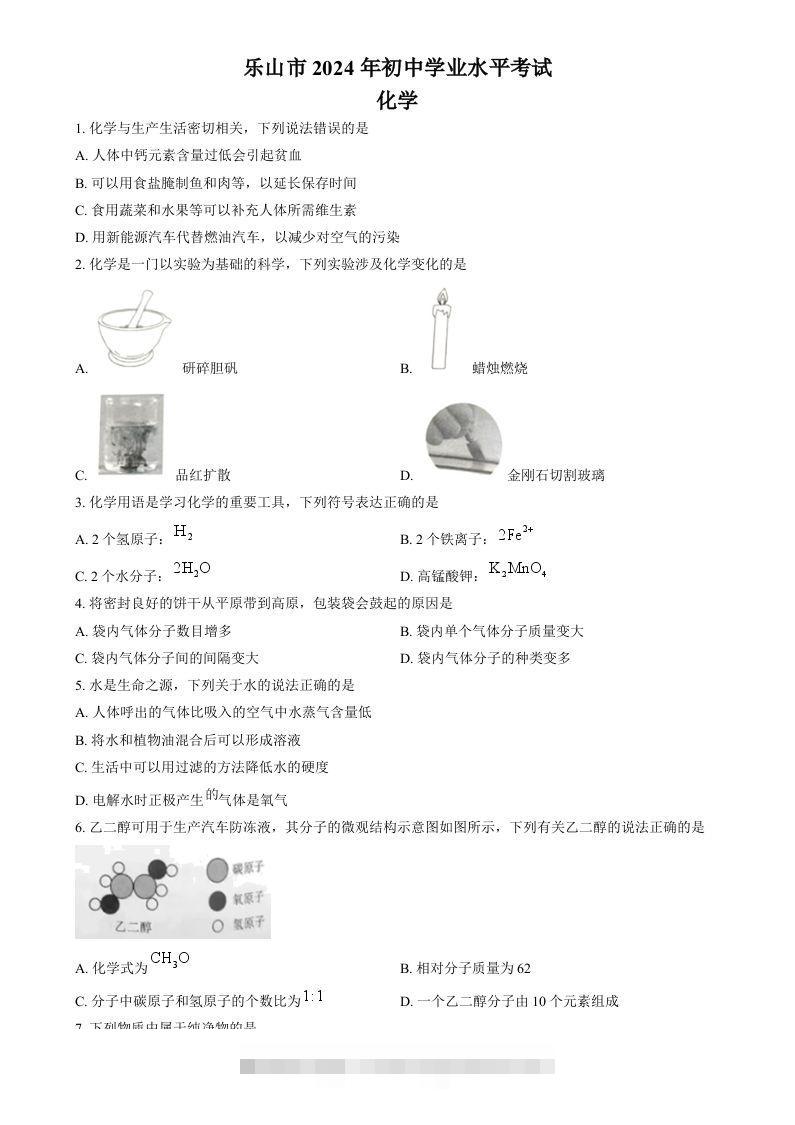 2024年四川省乐山市中考化学真题（空白卷）-资源V站