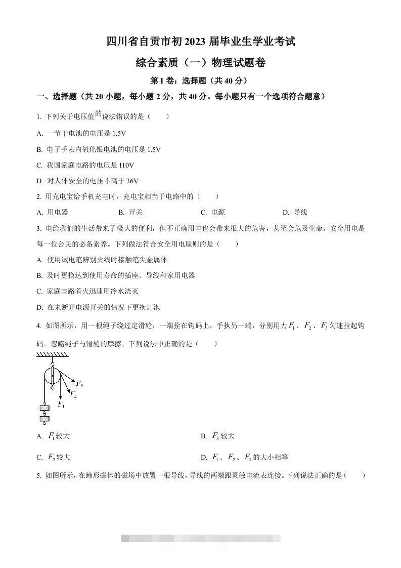 2023年四川省自贡市中考物理试题（空白卷）-资源V站