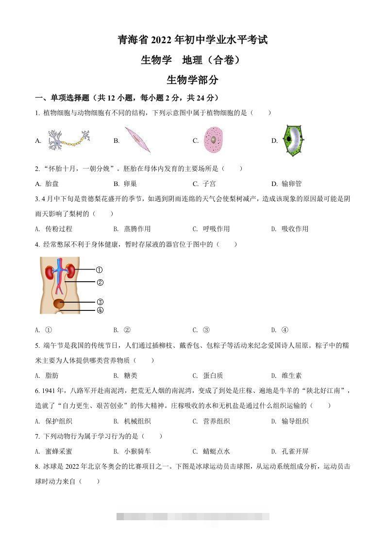 2022年青海省中考生物真题（空白卷）-资源V站