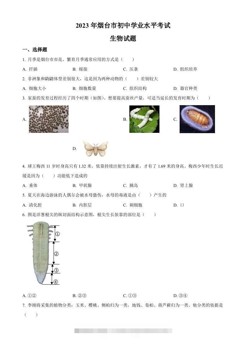 2023年山东省烟台市中考生物真题（空白卷）-资源V站