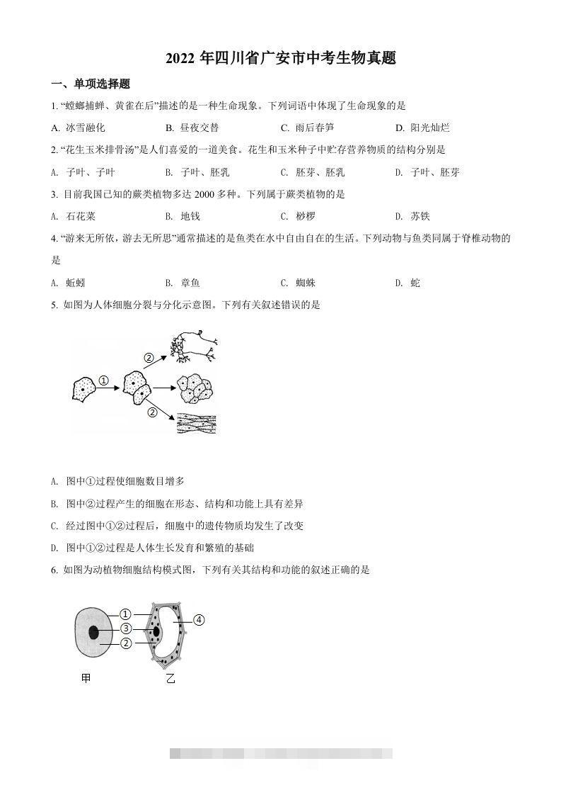 2022年四川省广安市中考生物真题（空白卷）-资源V站