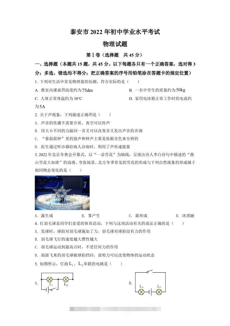2022年山东省泰安市中考物理真题（空白卷）-资源V站