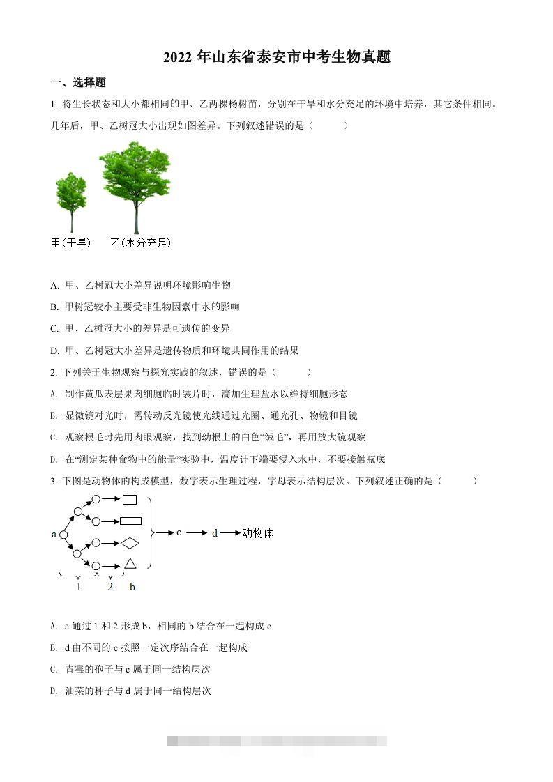 2022年山东省泰安市中考生物真题（空白卷）-资源V站