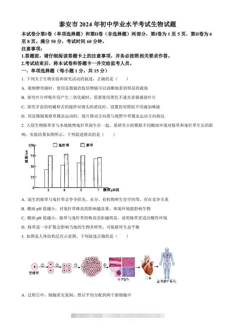 2024年山东省泰安市中考生物真题（空白卷）-小哥网