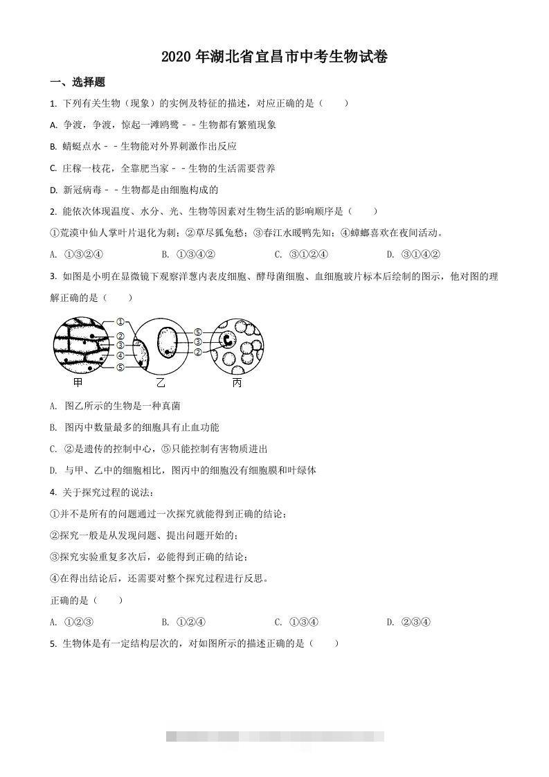 湖北省宜昌市2020年中考生物试题（空白卷）-资源V站