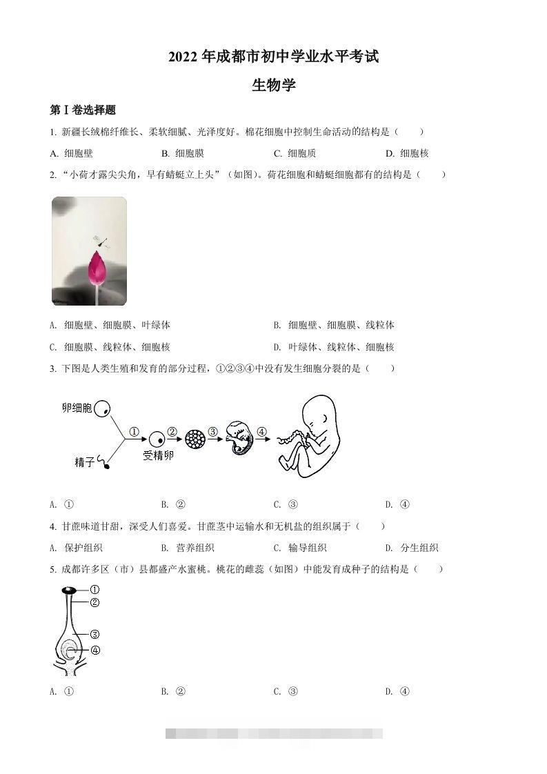 2022年四川省成都市中考生物真题（空白卷）-资源V站