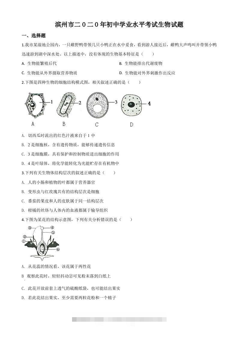山东省滨州市2020年中考生物试题（空白卷）-小哥网