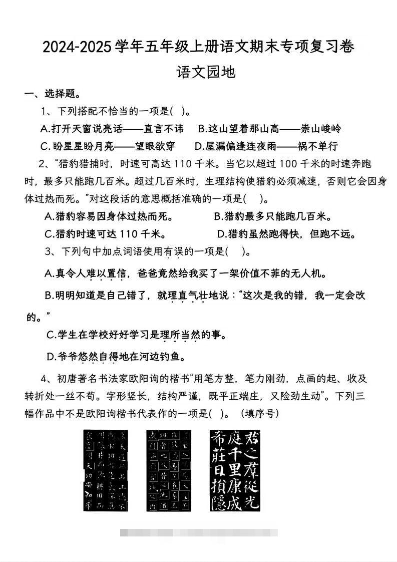【期末专项复习卷-语文园地】五上语文-资源V站