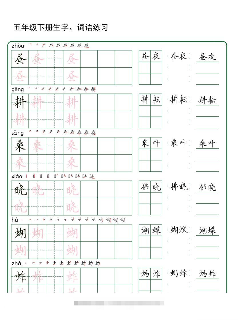 五年级下册语文生字词语练字（30页秋版）-资源V站