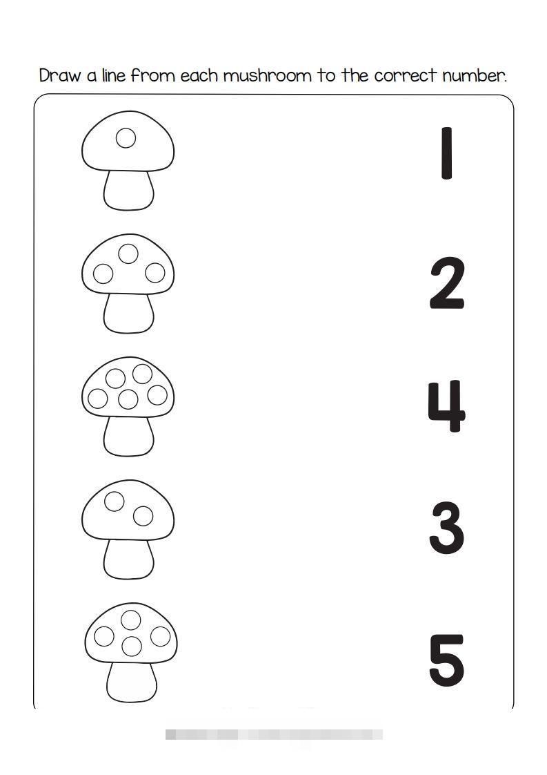 【数学】数学综合-小哥网