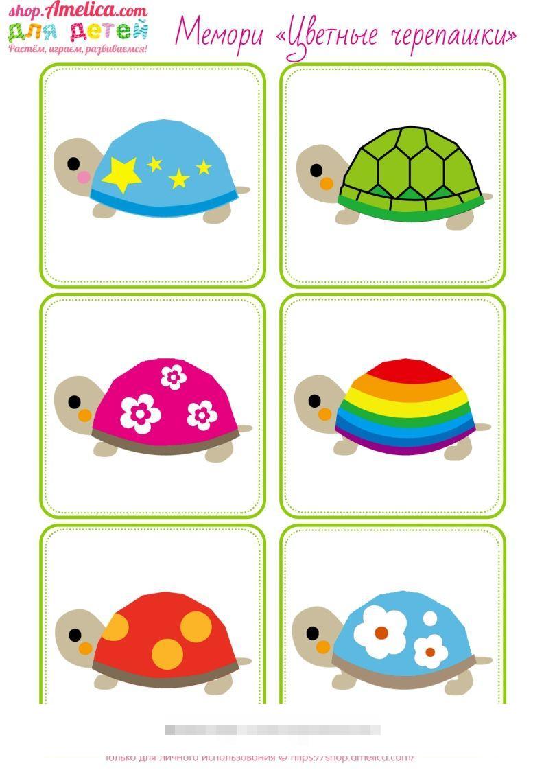 记忆卡片15-小哥网