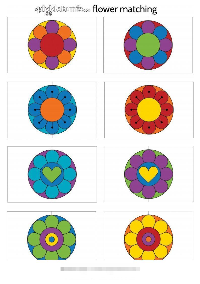 记忆卡片12-小哥网