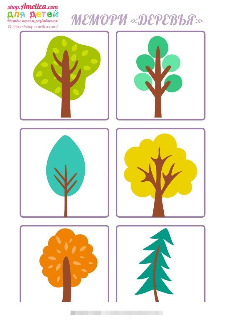 记忆卡片14-小哥网