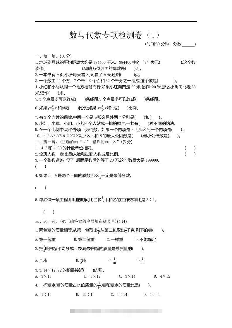 六下青岛63版数学期末数与代数专项检测卷（1）-小哥网